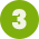 NPS3